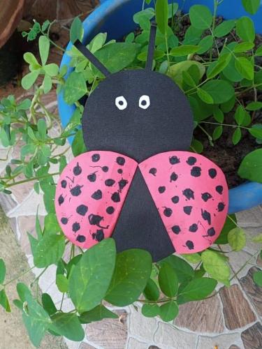 FB IMG 1705469170147